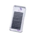 B Curl Lash Trays (Pre-Order)