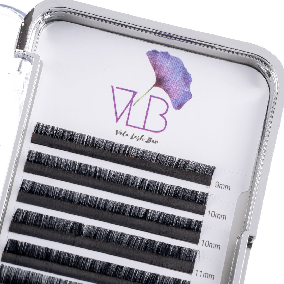 D Curl Lash Trays (Pre-Order)