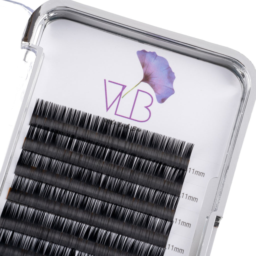D Curl Lash Trays (Pre-Order)